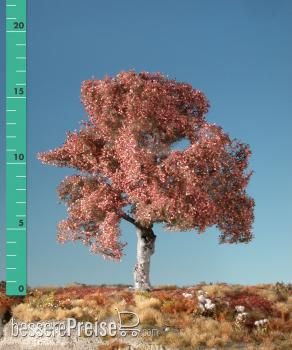 Silhouette 220-54