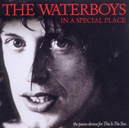the Waterboys - In a Special Place (the Piano - Preis vom 11.10.2026 03:10:56 h