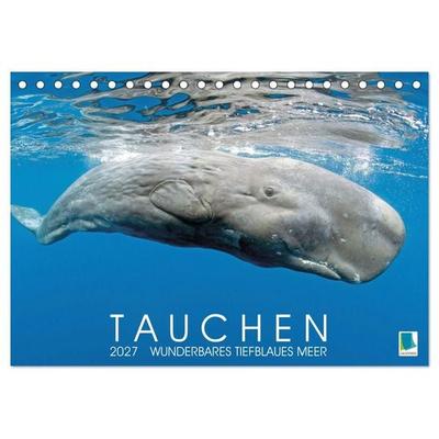 Tauchen: Wunderbares tiefblaues Meer (Tischkalender 2027 DIN A5 quer), CALVENDO Monatskalender