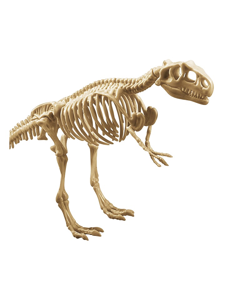 Explora Archäologie-Experiementier-Set - ab 5 Jahren - onesize