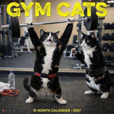 Gym Cats 2027 12 X 12 Wall Calendar