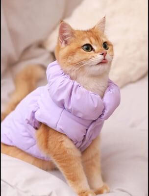 Uplift Picks Warm Dog Winter Jacket With 3 Layer Insulation For Small To Medium Dogs xxl purple