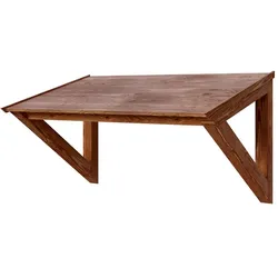 Skan Holz Pultdach Vordach Poel nussbaum