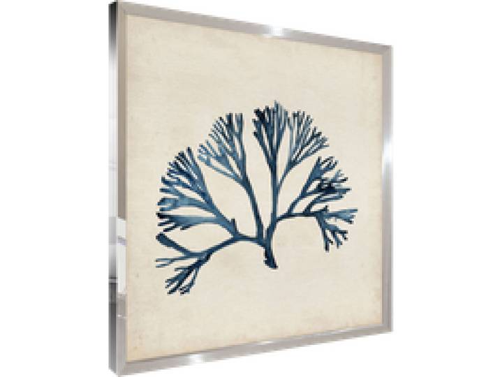 Tableau WAG Under algue E 40 x 40 cm