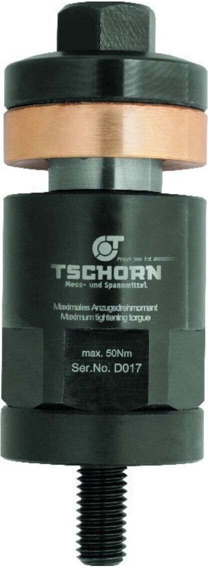 TSCHORN Spannbolzen 100mm Bolzen M10 (003000100)