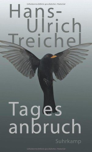Hans-Ulrich Treichel - Tagesanbruch - Preis vom 09.10.2026 07:28:09 h