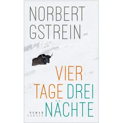 Vier Tage, drei Nächte, Belletristik von Norbert Gstrein