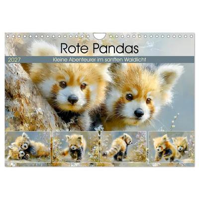 Rote Pandas. Kleine Abenteurer im sanften Waldlicht (Wandkalender 2027 DIN A4 quer), CALVENDO Monatskalender