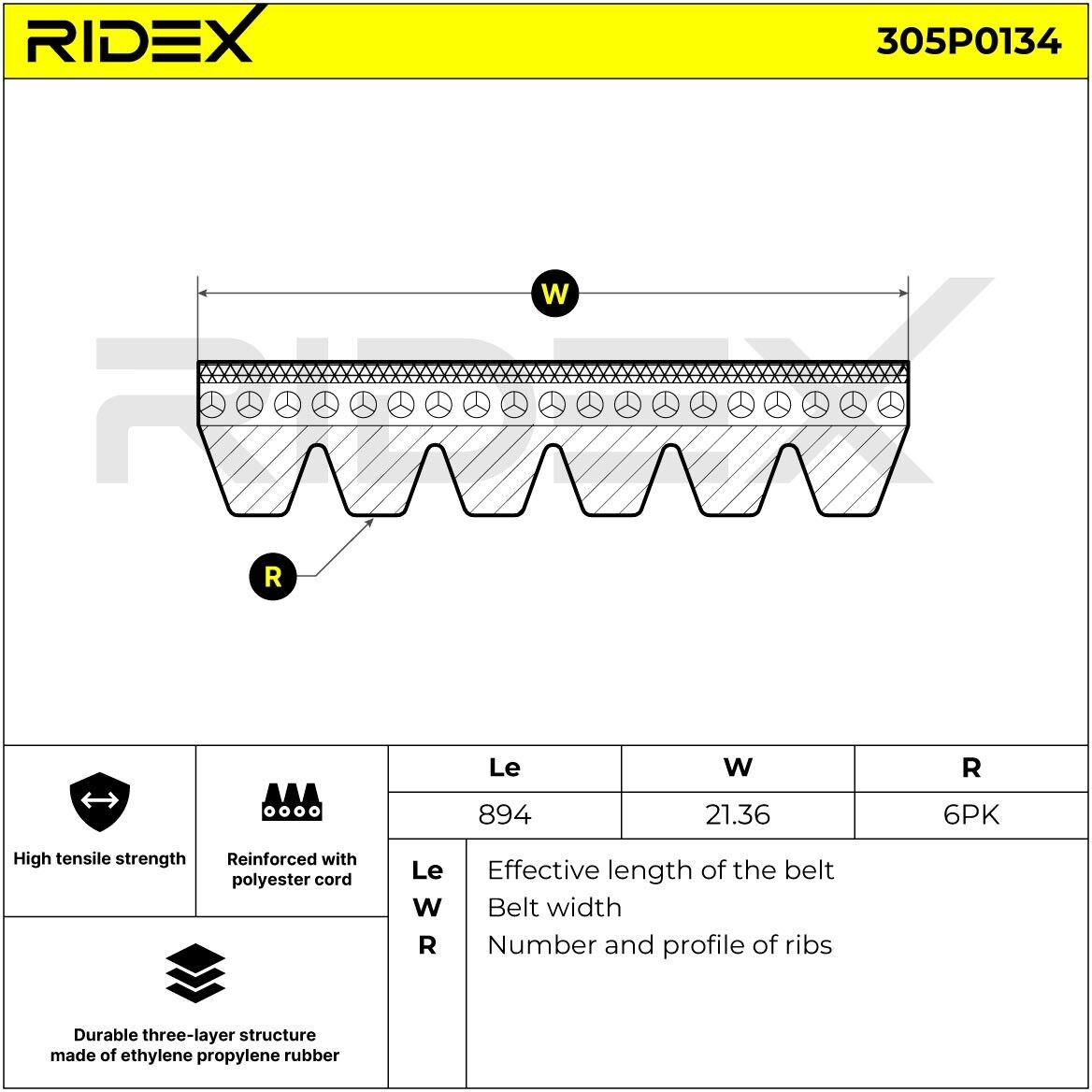 RIDEX 305P0134 Multiriem
