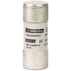 Schneider Electric DF2FN100 Sicherung DF2-FN, gG- Größe 22x58mm, zylindrisch -100A/500V, VE=10ST  - 10 Stück