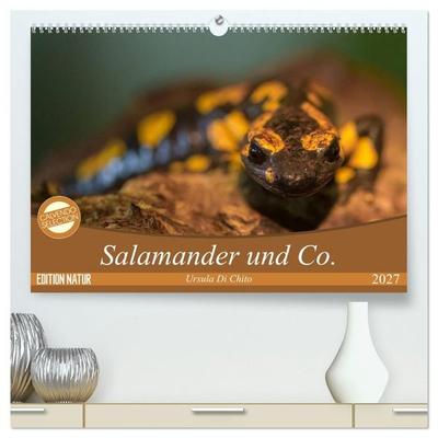 Salamander und Co. (hochwertiger Premium Wandkalender 2027 DIN A2 quer), Kunstdruck in Hochglanz