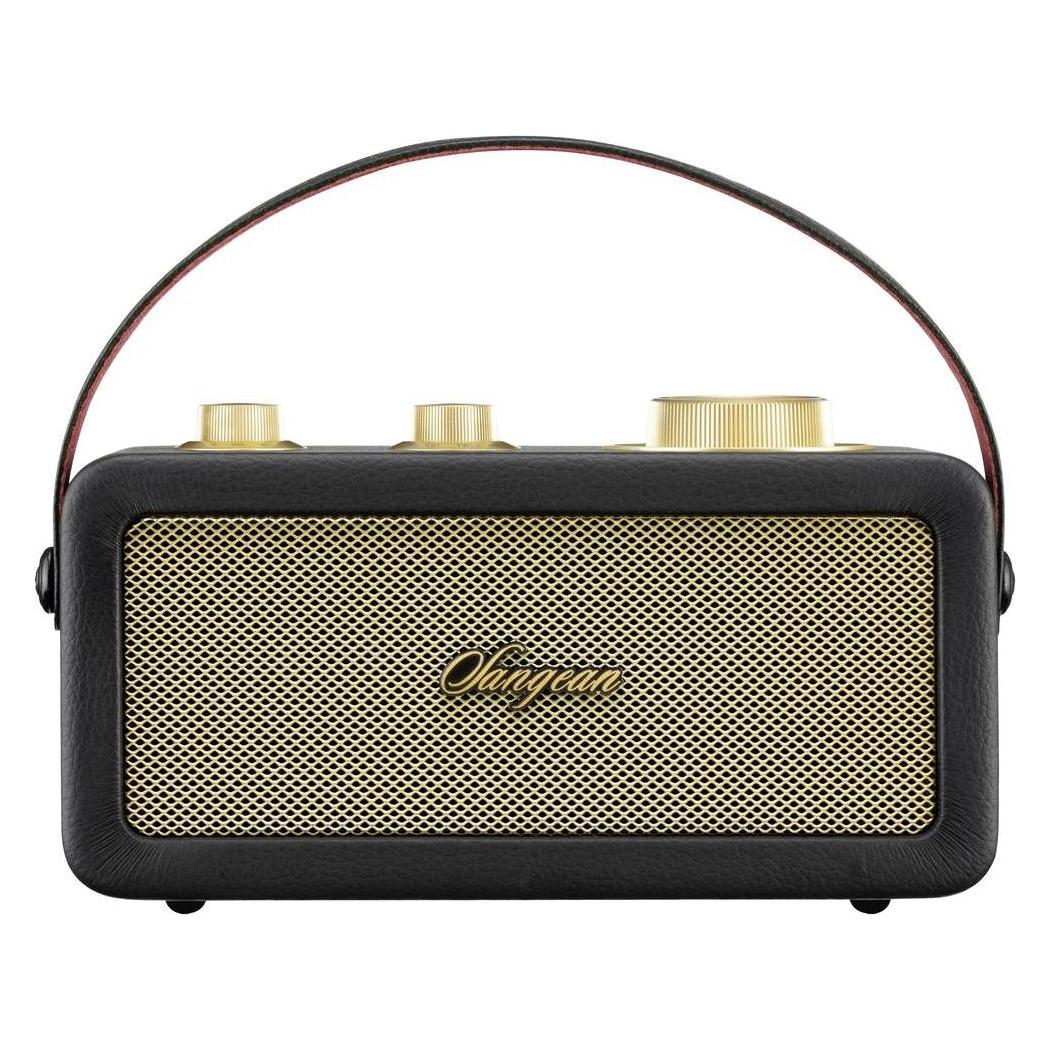 Sangean RA-101 Akku-Radio FM Bluetooth, AUX wiederaufladbar Schwarz, Gold (FM, Bluetooth) (A500522)