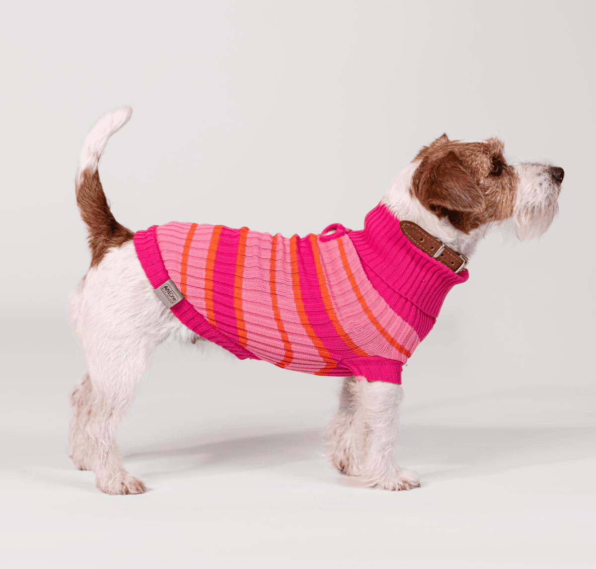 AniOne Dog Maglione Little&Trendy Lia 24CM