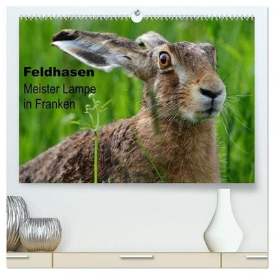 Feldhasen - Meister Lampe in Franken (hochwertiger Premium Wandkalender 2027 DIN A2 quer), Kunstdruck in Hochglanz