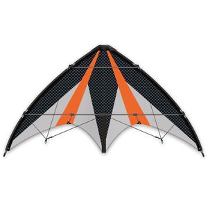 Günther Lenkdrachen 1028 Synergy 125 GX, 125 x 54 cm, Zweileiner, für Anfänger, ab 10 Jahre