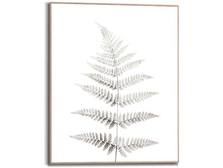 Bild REINDERS Farn Pflanz - Natur - Botanisch , grün (farbe bild(er): khaki), B:40cm H:50cm, Holzwerkstoff, Bilder, Bild