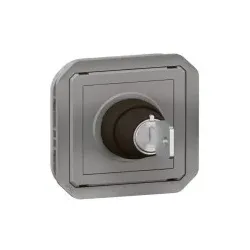 Legrand 069534L Plexo New Einsatz RONIS Schlüsselschalter 2 Pos, Schraubklemmen, IP55 IK08, Grau