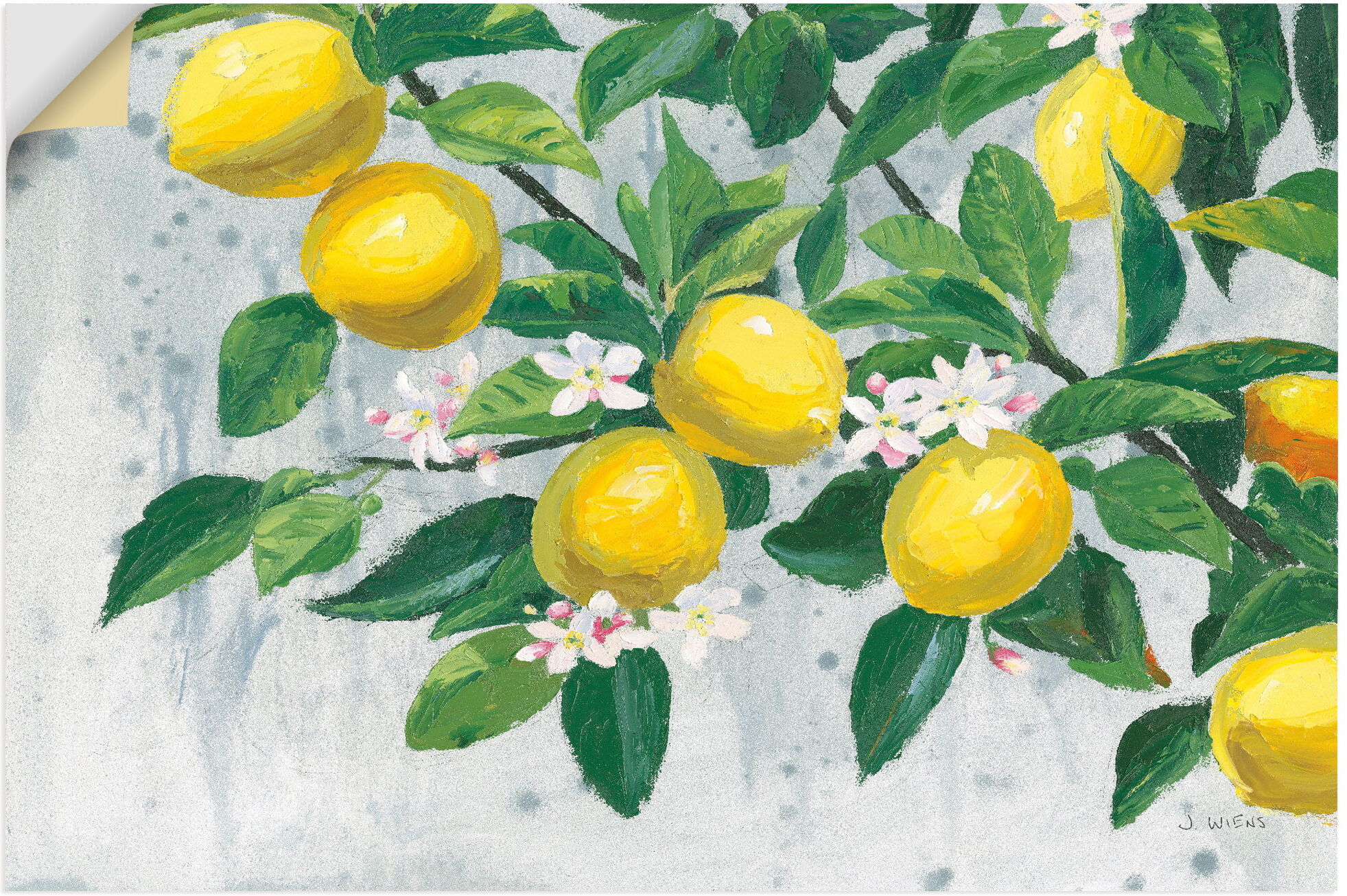 Wandbild ARTLAND "Zesty Lemons", gelb (farbe bild(er): naturfarben), B:100cm H:70cm, Bilder, Wandbild, als Alubild, Leinwandbild, Poster, Wandaufkleber in verschied. Grössen farbe bild(er): naturfarben B/H/T: 100cm x 70cm, Wandaufkleber - Vinyl Baumbilder