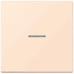 Jung Wippe mit Lichtleiter LC 101 KO5 226
