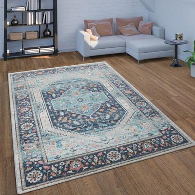 Paco Home In & Outdoor Area Rug Oriental Pattern In Blue Gray