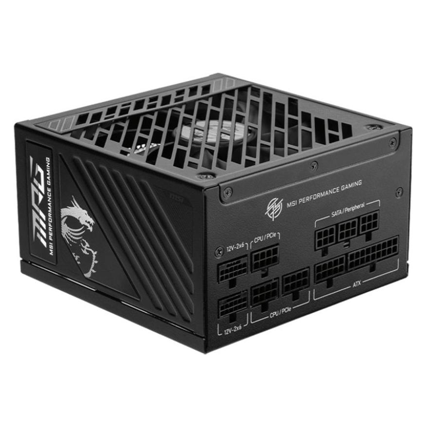 MSI MPG A1000GS PCIE5 (1000 W) (MPG A1000GS PCIE5)