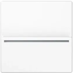 Jung Hotelcard-Schalter A CARD RFID WW ACARDRFIDWW