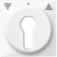 Zentralplatte für Rollladeneinsatz, Ausführung Key Switch, glänzend, Thermoplast weiß (glänzend), Retail