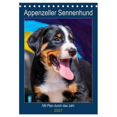 Appenzeller Sennenhund - Mit Plan durch das Jahr (Tischkalender 2027 DIN A5 hoch), CALVENDO Monatskalender