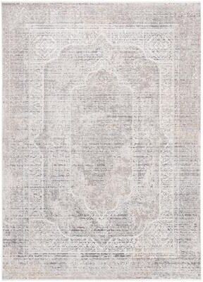 SAFAVIEH Dream Rhona Vintage Abstract Viscose Rug