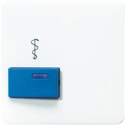 Jung Abdeckung aws CD 022 A-2 WW