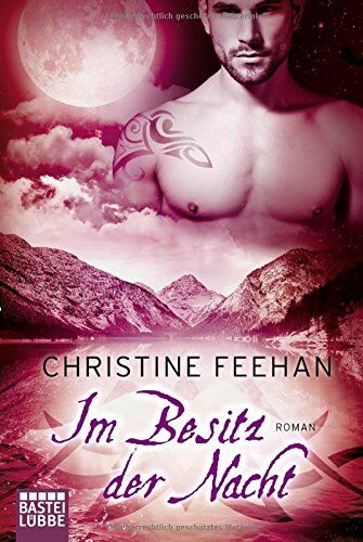 Christine Feehan - Im Besitz der Nacht: Roman (Die Karpatianer, Band 27) - Preis vom 09.10.2026 07:28:09 h