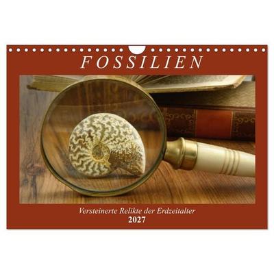 Fossilien - Versteinerte Relikte der Erdzeitalter (Wandkalender 2027 DIN A4 quer), CALVENDO Monatskalender
