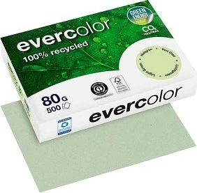 Clairefontaine Recyclingpapier Evercolor hellgrün DIN A4 80 g/qm 500 Blatt