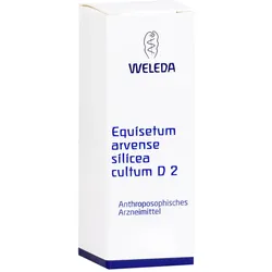 Equisetum Arvense Silicea cultum D 2