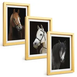 BILDER SET 3er Set - 20x30 cm Goldrahmen - Porträts von Pferden in verschiedenen Fellfarben