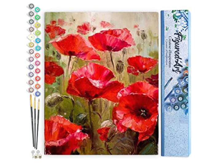 Figured'Art Schilderen op Nummer Volwassenen canvas Veld met klaprozen - Handwerk acrylverf Kit DIY Compleet - 40x50cm zonder frame
