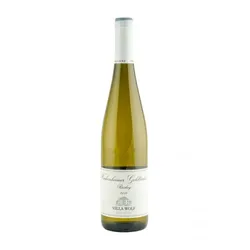 Riesling Wachenheimer Goldbächel trocken Villa Wolf / Loosen 2019 - 6Fl. á 0.75l
