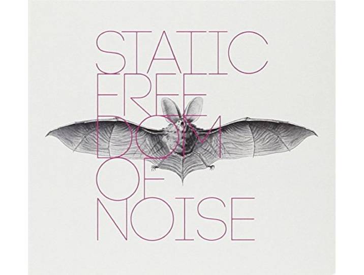 Freedom Of Noise