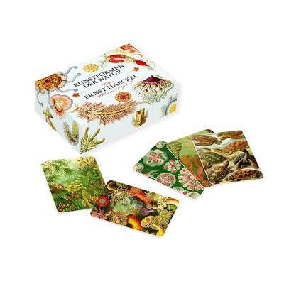 Das Ernst-Haeckel-Memo-Spiel
