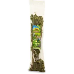 JR FARM Ein Stück Natur Haselnuss-Ernte 40g Kleintierfutter