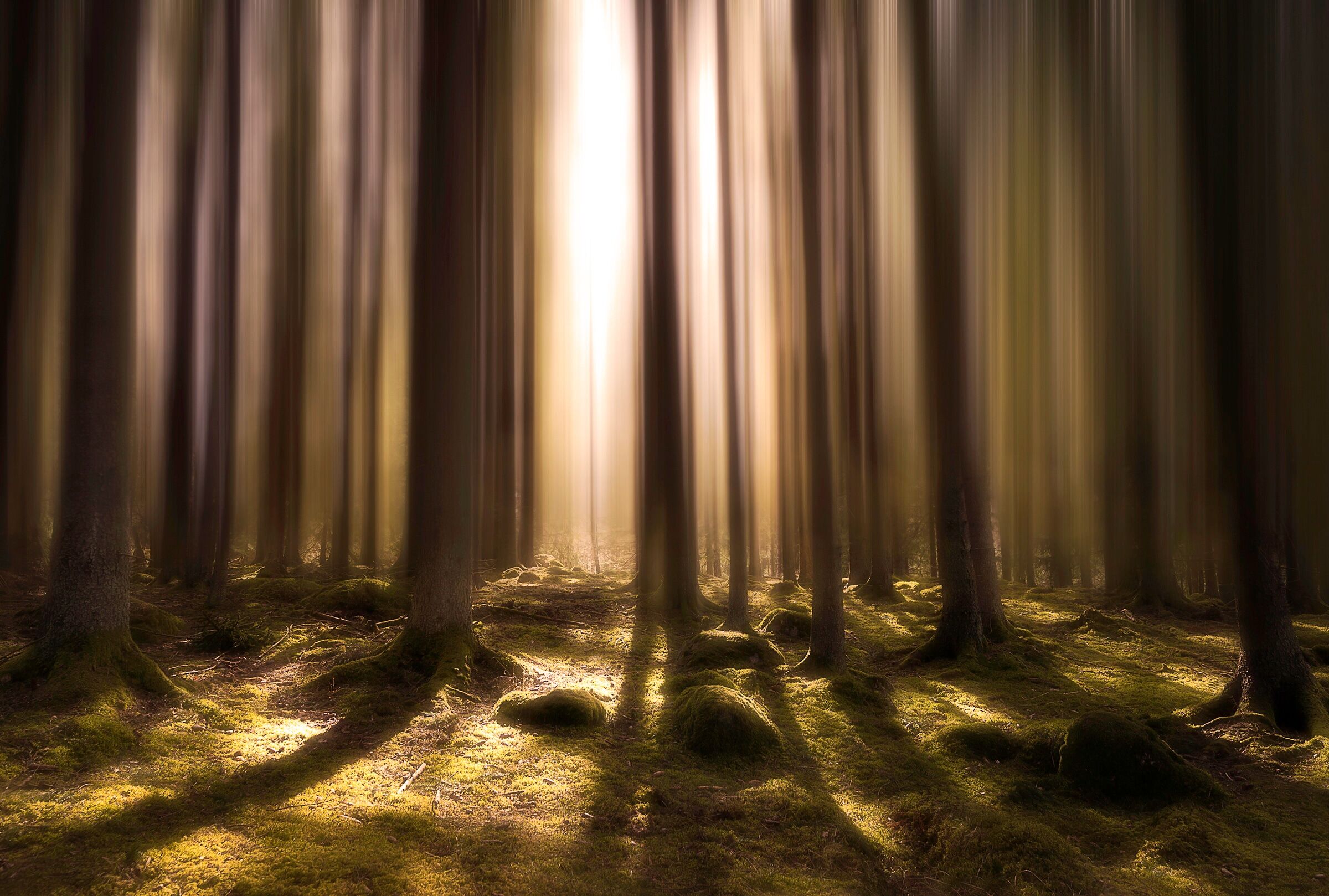 Fototapete PAPERMOON "Photo-Art CHRISTIAN LINDSTEN, ATEM DES LEBENS", bunt, B:3,5m L:2,6m, Vlies, Tapeten, Fototapete bunt B/L: 3,5m x 2,6m, Bahnen: 7 Stk.