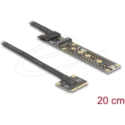 Delock Adapter Mini PCIe Stecker zu M.2 Key M Buchse mit Kab, Mainboard Zubehör