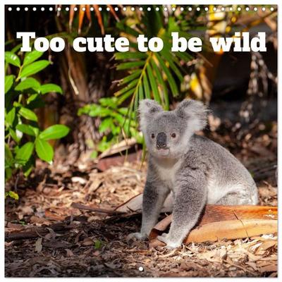 Too cute to be wild (Wall Calendar 2027 12 × 12 Inch) CALVENDO 12 Month Wall Calendar