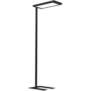 Waldmann Stehlampe Lavigo, LED, schwarz, 203,3 cm, 12400 Lumen, 85 Watt, dimmbar mit Licht- & Bewegungssensor