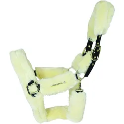 Kentucky Horsewear, Halfter