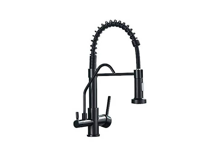 SWENEEN Küchenarmatur Mit Wasserfilter Und Doppelsprühkopf In Mattschwarz, Trinkwasser, Spültischarmatur, Typ B – Mattschwarz,Type B-Matte Black