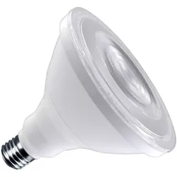 Bailey | LED-Lampe | Große Fassung E27 | Spot | 120mm | 12,5W