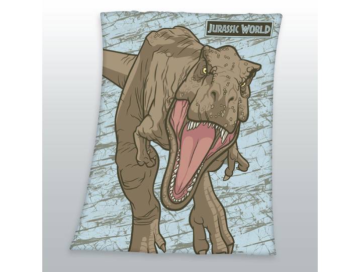 Kinderdecke JURASSIC WORLD Jurassic World , bunt, B:130cm L:170cm, Polyester, Wohndecken, Kinderdecke, mit tollem Jurassic World Motiv