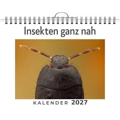 Insekten ganz nah
