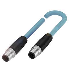 BALLUFF BCC0HPR Verteilerleitung Stecker, gerade, Stecker, gerade 55.00 m Polzahl Sensoren: 4, 4 1 St. Piece